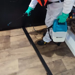 #expert anti cafard chambery #chambéry professionnel cafard #tarif cafard chambéry