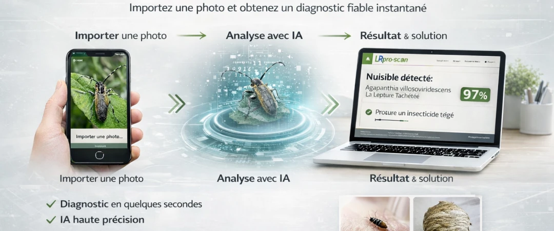#diagnostic bêtes #diagnostic nuisibles #diagnostic insectes #diagnostic rongeurs #diagnostic parasites