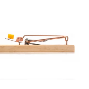 #dératisation-La-Motte-Servolex #exterminateur-rat-chambéry #pièges-à-souris professionels #Savoie-dératisation #dératisation-à-proximité-de-chambéry