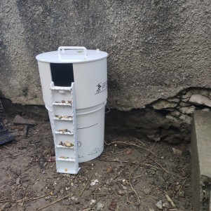 #Problème rongeurs Chambéry #société dératisation chambéry #Infestation rats Chambéry #Présence souris Chambéry #