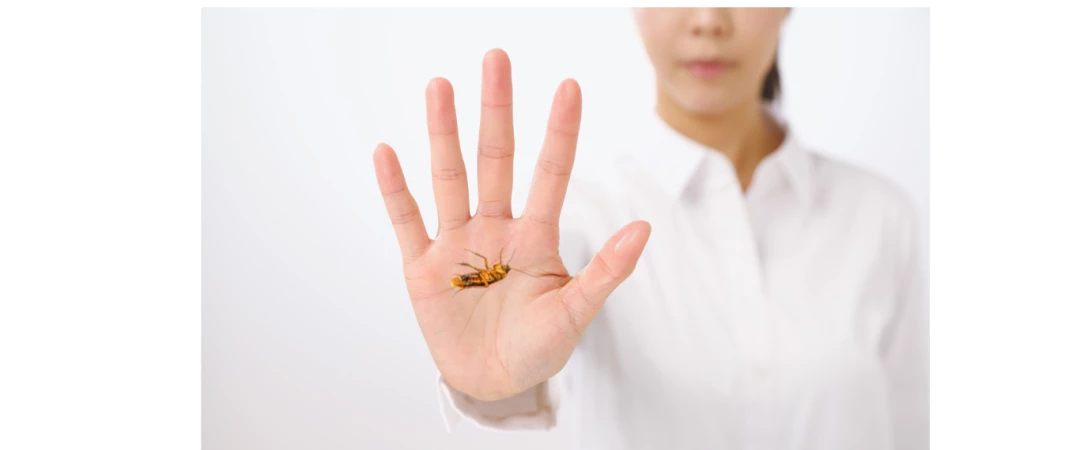 #prévention des cafards #prévention des blattes #éviter les cafards #éviter les blattes