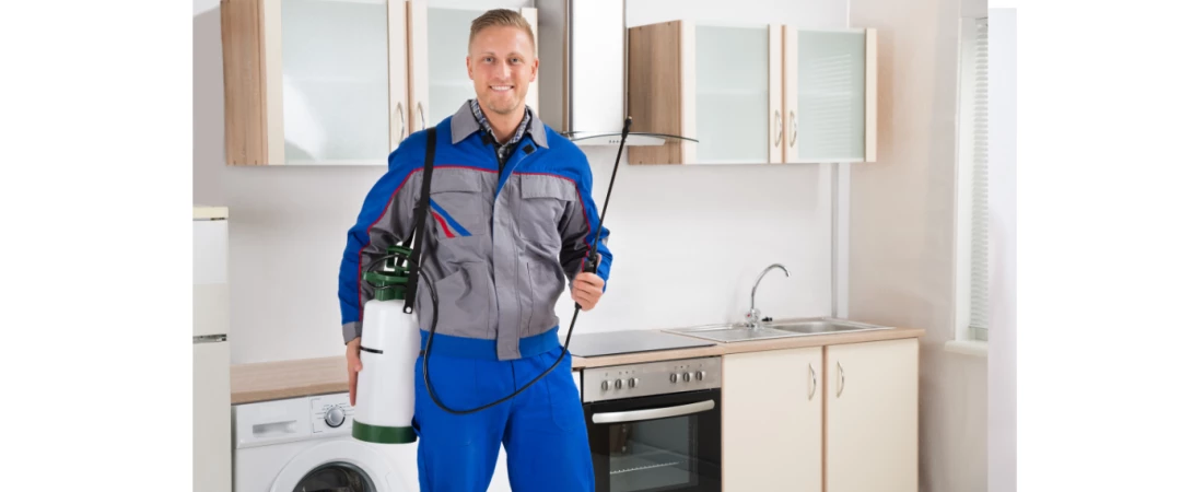 #société anti-cafard chambéry #société anti- blatte aix les bains #société anti-blatte challes les eaux #société anti-blattes barby