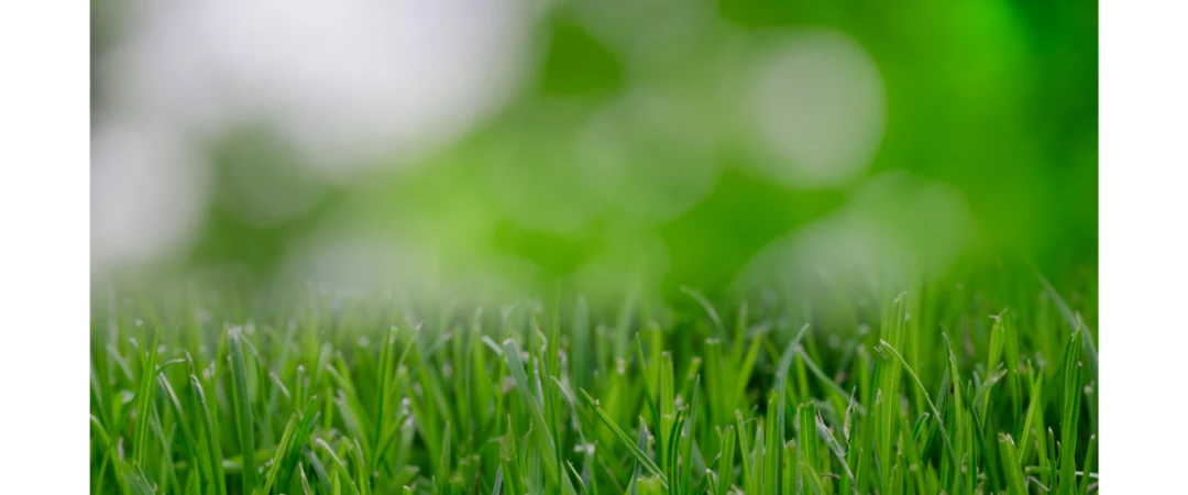 #désinsectiseur de cafards à côté de chez moi #désinsectisation cafard à Aix Les bains #désinsectisation des cafards aix les bains #désinsectisation des cafards entreprise