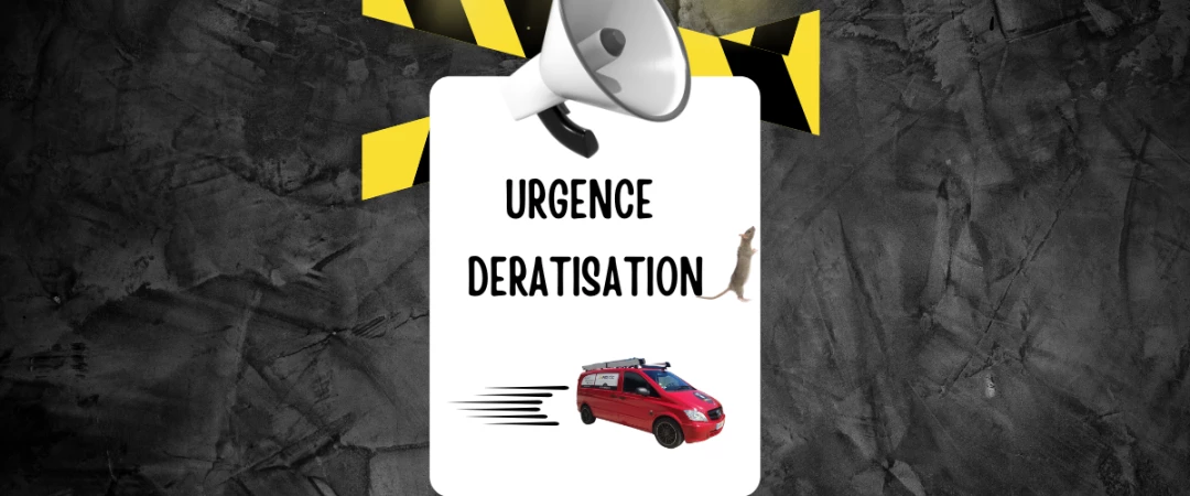 #urgence dératisation Chambéry #urgence dératisation Aix Les Bains #urgence dératiseur Aix Les Bains #urgence dératiseur Chambéry