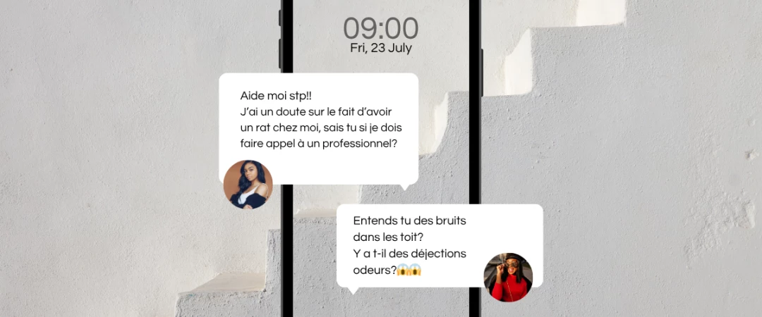 #urgence rat Aix Les Bains #urgence souris Aix Les Bains