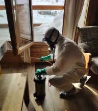 #désinsectisation des insectes #pest control #hygiène 3D #intervention 3D #lutte antiparasitaire #extermination des insectes