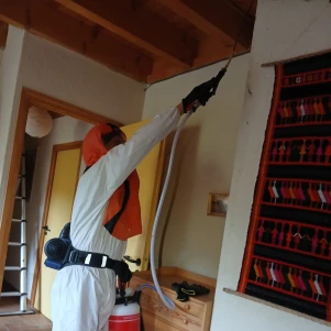 #pulvérisation des cafards #intervention cafard chambéry #urgence blatte en savoie