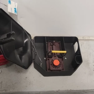 #dératiseur à Chambéry #dératiseur Barby #dératiseur 73000 #dératisation 73000 #dératiseur restaurant Aix Les Bains #dératiseur restaurant Chambéry #dératiseur restaurant savoie