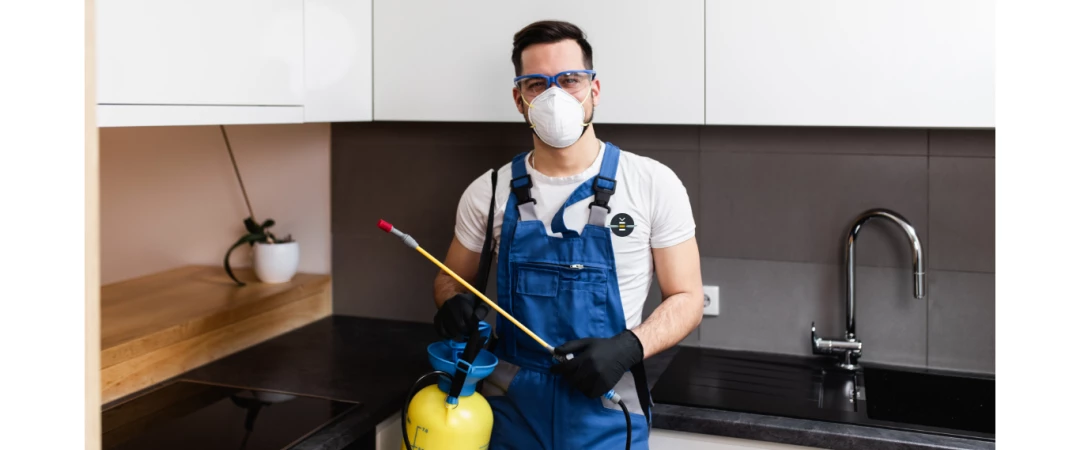 #exterminateur insectes chambéry #exterminateur insectes Aix Les Bains #exterminateur insectes savoie