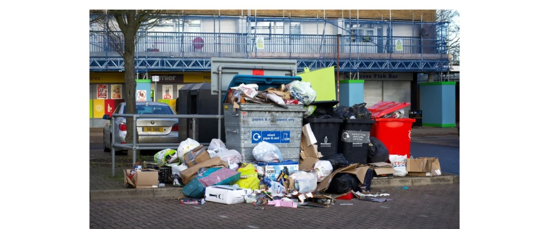 #déchets rat chambery #nettoyage rat chambéry #végétation rat chambéry #trou rat #anti nuisible chambéry