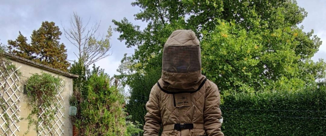 #désinsectisation guêpes Chambéry #désinsectisation guêpes frelons Chambéry #désinsectisation guêpes Montmélian #désinsectisation guêpes 73800 #guêpes dans la piscine #allergie piqûre de guêpe #éloigner les guêpe