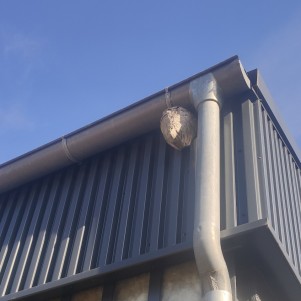 #service de désinsectisation guêpes chambéry # désinsectisation guêpes urgence chambéry ##entreprise spécialisée destruction nid de frelons chambéry #entreprise spécialisée destruction nid de frelons Aix Les Bains#expert nuisibles à chambery #Se débarrasser des guêpes chambery #Éloigner les guêpes chambery #Exterminateur guêpes chambery #Exterminateur guêpes Saint Cassin #Exterminateur guêpes à côté de chez moi #désinsectisation guêpes efficace pour les particuliers #désinsectisation nid de guêpe en hauteur