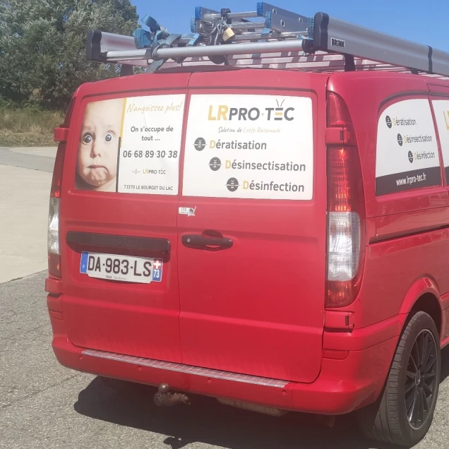 #Entreprise destruction nid de guĂȘpes Ă chambery #Entreprise destruction nid de guĂȘpes Ă Aix Les Bains #Entreprise destruction nid de guĂȘpes Ă Le Bourget Du Lac #Entreprise destruction nid de guĂȘpes 73000