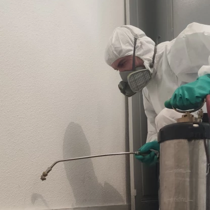 destruction fourmis aix les bains