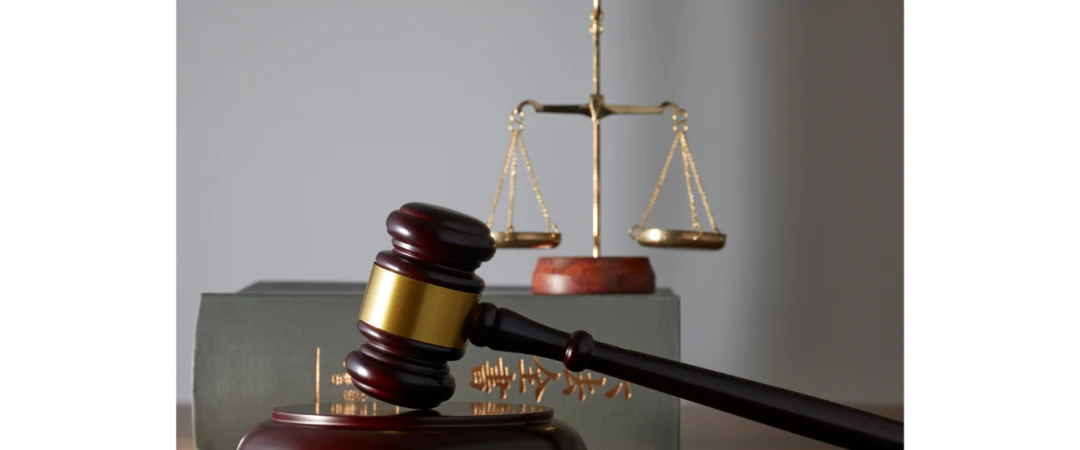 #obligation de dératisation désinsectisation #loi traitement des nuisibles #dératisation chambéry #dératiseur chambéry #dératisation Aix Les Bains #dératisatiseur Aix Les Bains