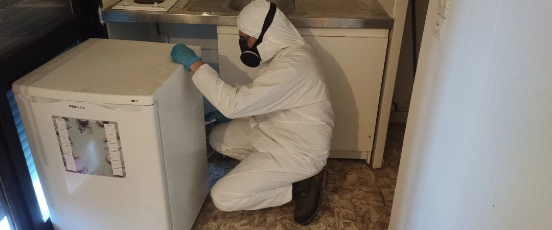 #traitement cafards chambéry # entreprise blattes aix les bains #Lutte contre les cafards Carré Curial #Professionnel anti-cafards chambery #Signes infestation blattes