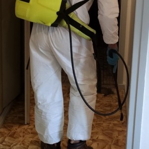 #expert anti cafard chambery #anti-blatte aix les bains #spécialiste des cafards chambery #produit anti cafard Les Landiers #que faire en cas de cafard