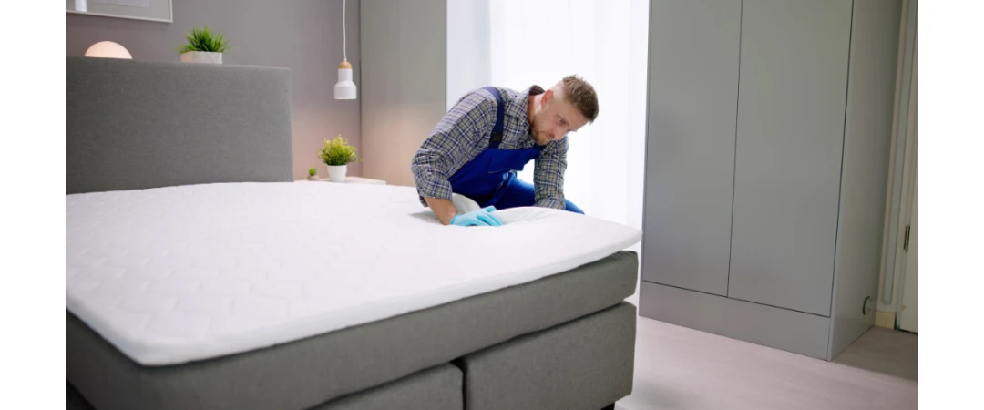 #problème de punaise de lit #détection canine savoie  #détection canine haute savoie #intervention canine punaise de lit chambéry #intervention canine punaise de lit aix lles bains