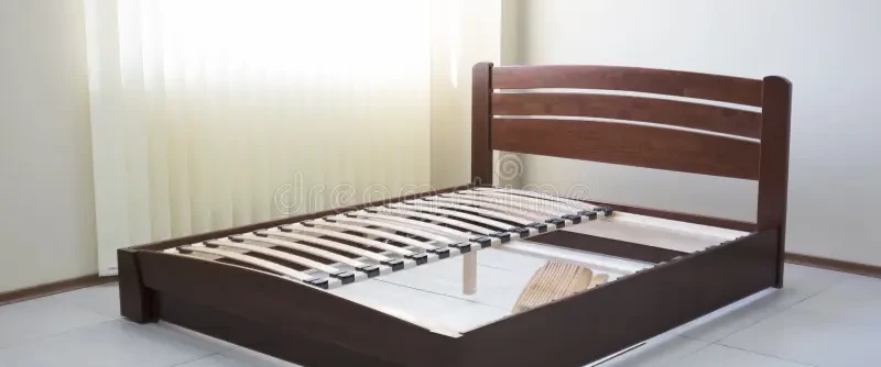 #prévenir les punaises de lit #éviter les piqures de punaise de lit #punaise de lit chambéry #punaise de lit Aix Les Bains