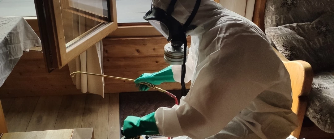 #societe anti punaise de lit aix les bains #entreprise punaises de lit chambéry #Infestation punaises de lit chambery #Traitement punaises de lit aix Les Bains #Comment détecter les punaises de lit #