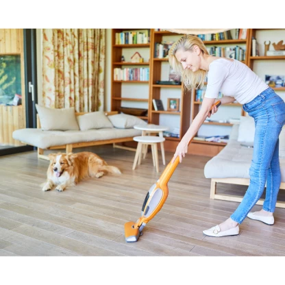 #traitement anti puce chambery #traitement anti puce Aix Les Bains #traitement anti puce Challes Les Eaux ##traitement anti puce Barby ##traitement anti puce La Motte Servolex